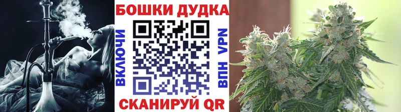 Шишки марихуана семена  Лахденпохья 